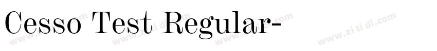Cesso Test Regular字体转换 Cesso Test Regular字体转换